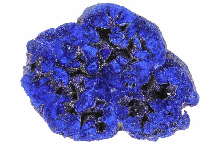 Vivid Blue, Cut/Polished Azurite Nodule - Siberia #94558